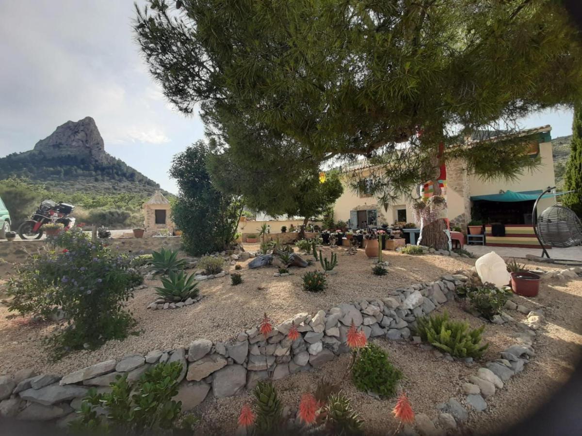 Casa Pura Vida Bed and Breakfast Relleu Eksteriør billede