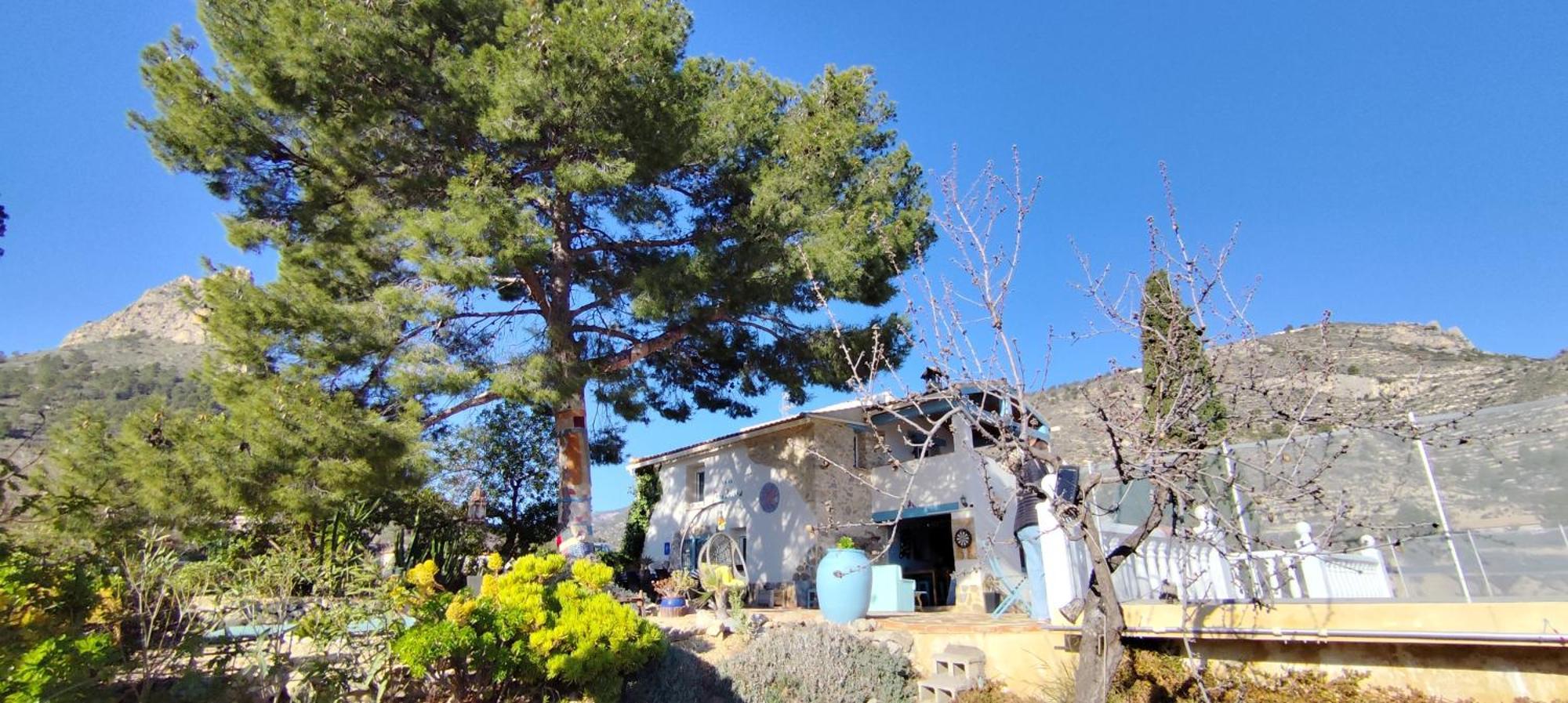 Casa Pura Vida Bed and Breakfast Relleu Eksteriør billede